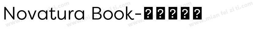 Novatura Book字体转换